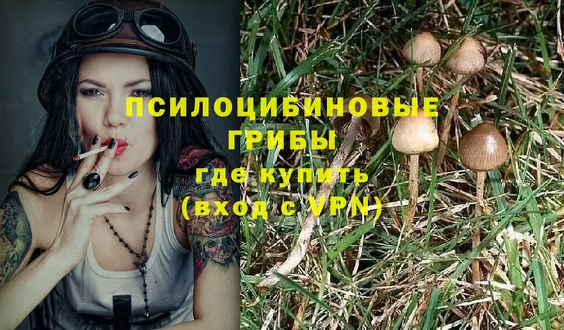 Галлюциногенные грибы Magic Shrooms  Лыткарино 